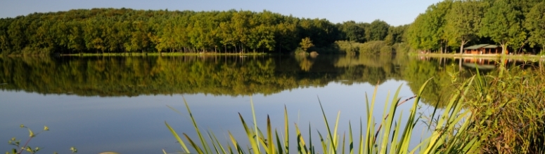 Bukovniško jezero Prekmurje